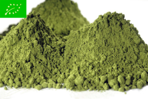 Beginners Matcha Organic - vihreä tee - maustamaton tee - Runda Munken Teekauppa